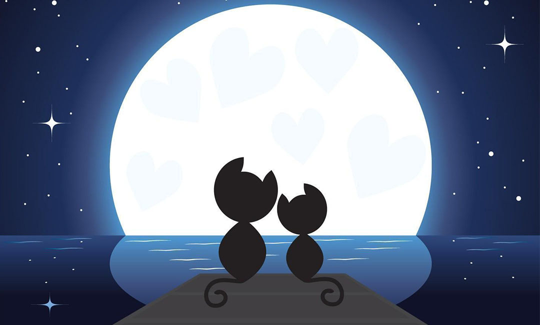 三明潮客汇微信活动策划案例